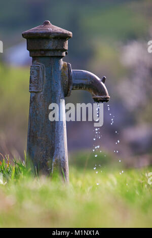 In the parks on the green grass standing crane with dripping water drops. On a sunny day. Stock Photo