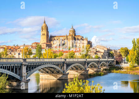 Cathedral,bridge over Tormes river,Salamanca,Castile and Leon,Spain Stock Photo