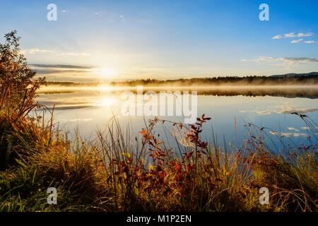 Autumn Mood,Sunrise with early morning mist,Kirchsee,near Sachsenkam,Tölzer Land,Upper Bavaria,Bavaria,Germany Stock Photo