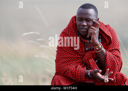 A Masai man talking on a mobile phone in the African savanna, Masai Mara Game Reserve. Kenya, East Africa, Africa Stock Photo