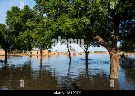 Outflows of the Chari River, Gaoui, near N'Djamena, Chad, Africa Stock Photo