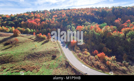 Autumn colored red leaves on trees in wood next to a highway in the mountains Stock Photo