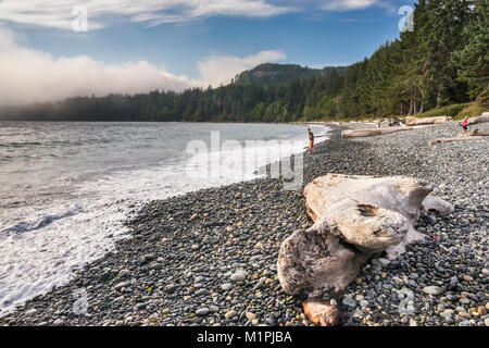 Driftwood on Pacific pebble beach, people in distance, fog rolling in, French Beach Provincial Park, Southern Vancouver Island, BC, Canada Stock Photo