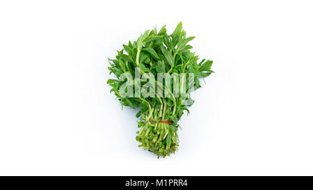 Rice Paddy Herb Vietnamese Ngo Om Herb Stock Photo