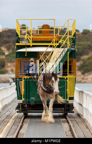 The Horse drawn tram between victor harbor and granite island in south australia on 31st of January 2018 Stock Photo