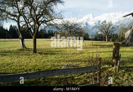 Winter snow on the Tyrolean Alps, Austria Stock Photo