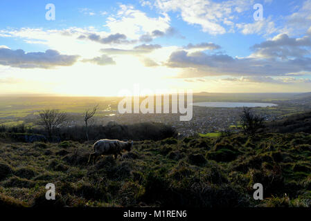 Looking over the small town of Cheddar, Somerset, UK, from the high ground around Cheddar Gorge in winter. Stock Photo