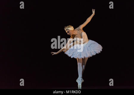 Sadler’s Wells Theatre, London, UK, 1st Feb 2018. Former Royal Ballet dancer Zenaida Yanowsky performs Fokine's ever-popular Dying Swan. Sadler’s Wells’ annual celebration of dance brings together an eclectic mix of extracts from some of the most exciting dance works in ‘Sampled’. Credit: Imageplotter News and Sports/Alamy Live News Stock Photo