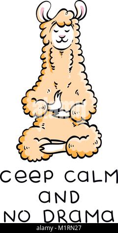 Cute meditating furry llama. Vector cartoon illustration on a white background with motivational lettering. Ceep calm and no drama. Stock Vector
