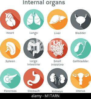 Vector round icons of human organs Flat design Stock Vector