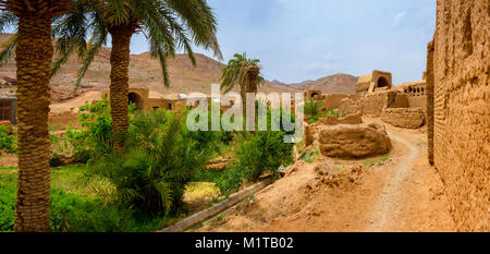 the street in the pise-walled village, houses from a  unburnt brick, on other side a palm garden, on a mountain background Stock Photo