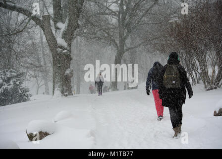 Heavy Snowfall Hits Helsinki Stock Photo