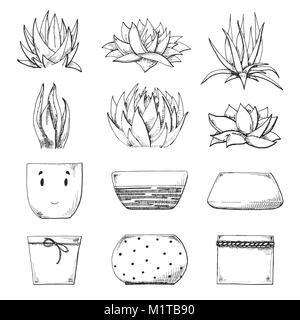 Sketch of different pots and succulents. Vector illustration of a sketch style. Stock Vector