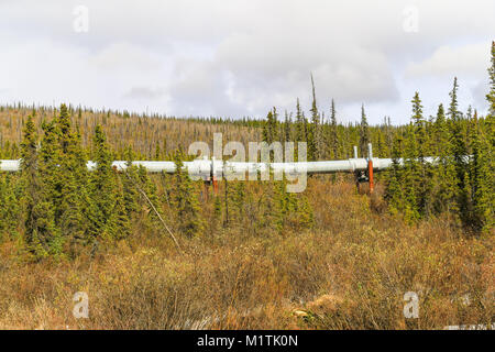 Fairbanks, Alaska, USA - MAY 24, 2017: The Alaska Pipeline in the wilderness between Fairbanks and Coldfoot. Stock Photo