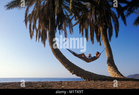 Egypt, Dahab. Red Sea. Sinai desert. Tourist on beach relaxing in hammock. Palmtrees. Stock Photo