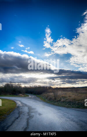 Vertical photo with old worn wet road after rain with autumn dry grass on both sides. Few trees and bush are in background. Sky is blue with few cloud Stock Photo