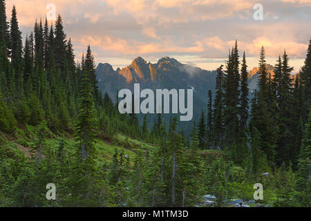 A view of the Tatoosh Range from a meadow in Mount Rainier National Park. Washington, summer. USA Stock Photo