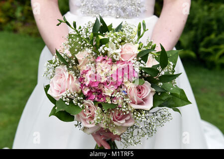 Traditional pink rose bouquet held by a bride on her wedding day Stock Photo