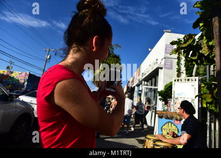 The Wynwood Arts District located in Miami, Florida is home to a community of Art Galleries, Antique Shops, Open-air street-art installations Stock Photo