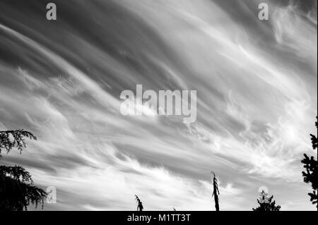 Cirrus clouds wisps of light clouds with natural patterns Stock Photo