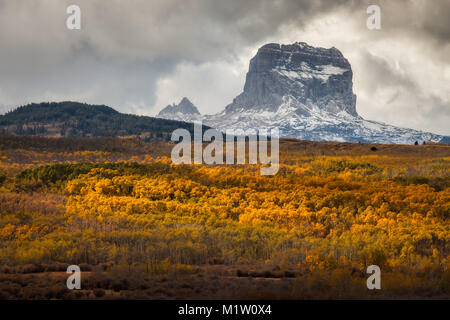 Chief Mountain in Autumn with layers of aspen trees with fall colors in Glacier National Park, Montana, USA Stock Photo