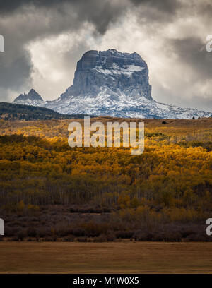 Chief Mountain in Autumn with layers of aspen trees with fall colors in Glacier National Park, Montana, USA Stock Photo