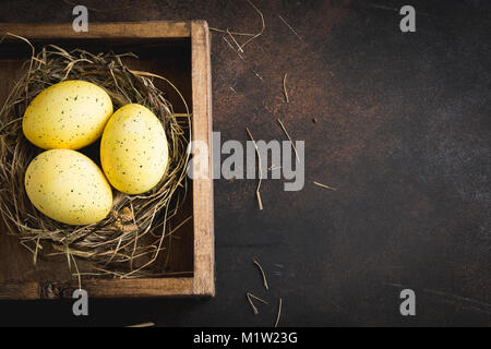 Easter Eggs in bird Nest on rustic metal background. Decorated easter eggs with feathers in nest on brown table with copy space. Spring, Easter or hea Stock Photo