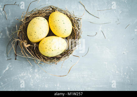 Easter Eggs in bird Nest on blue wooden background. Decorated easter eggs with feathers in nest on old wooden table with copy space. Spring, Easter or Stock Photo