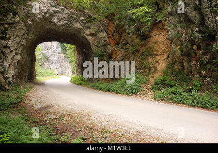 the mountain road passes through a stone tunnel landscape Stock Photo