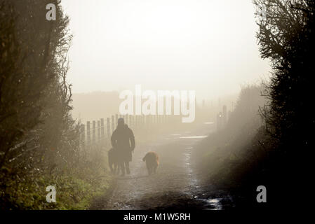 Lady walking dogs in the mist near the iconic Seven Sisters chalk cliffs, East Sussex, UK