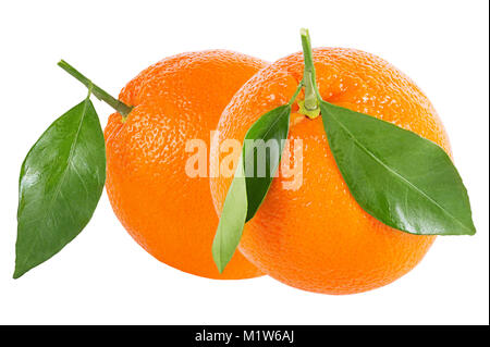 Isolated citrius fruits. Two whole oranges with leaf isolated on white background with clipping path as package design element. Stock Photo