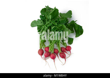 Red Radishes isolated in white background Stock Photo