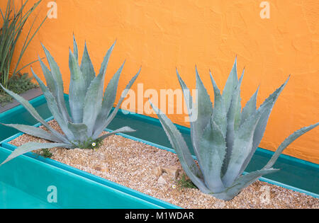 Beneath A Mexican Sky garden, view of turquoise pool and container with Agave americana grown in gravel, orange render Stock Photo