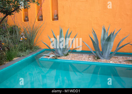 Water feature garden with agave cactus and rendered painted orange wall Beneath A Mexican Sky garden - Designer: Manoj Malde Chelsea Flower Show 2017 Stock Photo