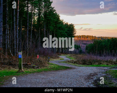 UK Weather; Loverly afternoon sunset light at the Fairoak Valley Pools on the Fairoak Trail, Cannock Chase, Staffordshire recommended by the Ordnance Survey OS it is number 76 in the ITV 100 favourite walks Stock Photo