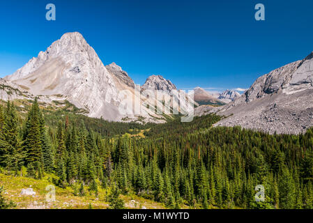 Burstall Pass in Kananaskis Country on a summer day Stock Photo