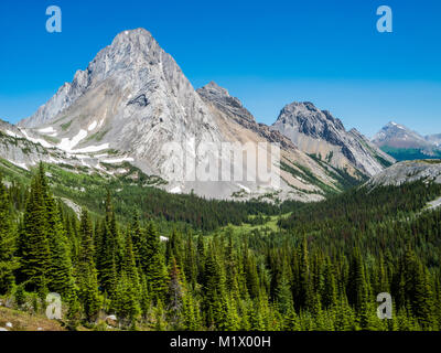 Burstall Pass in Kananaskis Country on a summer day Stock Photo