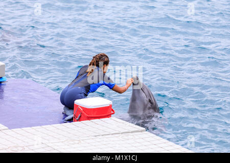 SUBIC BAY, MANILA, PHILIPPINES : JAN 28, 2018 - Instructor with Dolphin at Ocean Adventure Subic bay Stock Photo