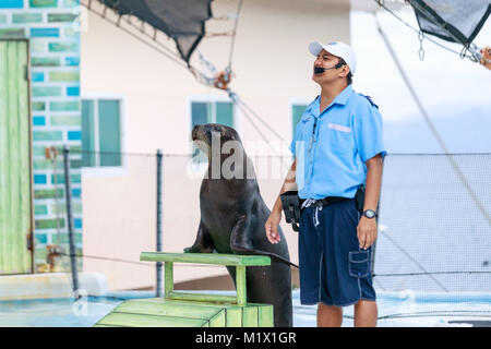 SUBIC BAY, MANILA, PHILIPPINES : JAN 28, 2018 - Instructor perform with Sea Lion at Subic Ocean Adventure Stock Photo