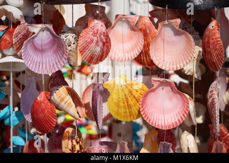 Nice decorations made out of colorful seashells Stock Photo