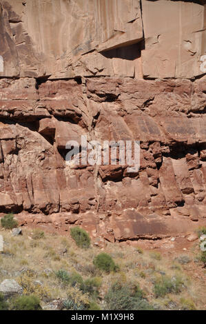 Sandstone clastic dike injected from the Permian Coconino Sandstone into the underlying Hermit Shale, Bright Angel Trail, Grand Canyon National Park Stock Photo