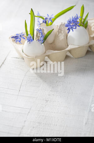 Bunch of early spring flowers ( Scilla siberica) in eggshells. Shallow depth of field, focus on near flowers. Easter decor Stock Photo