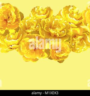 Seamless pattern with fluffy yellow tulips. Beautiful realistic flowers and buds Stock Vector