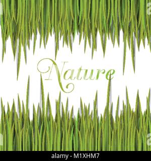 Natural green template with vector grass. Stock Vector