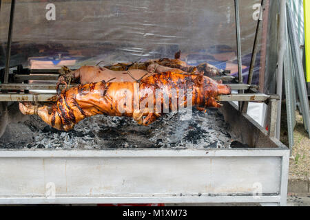 Roasted suckling pig on a rotating spit, Pig roast Stock Photo