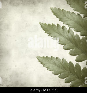 textured old paper background with leather leaf fern Stock Photo