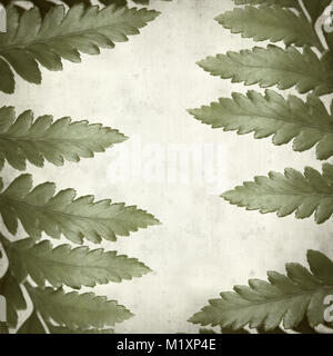 textured old paper background with leather leaf fern Stock Photo