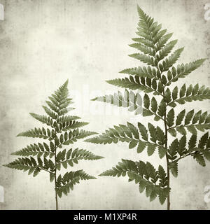 textured old paper background with leather leaf fern Stock Photo