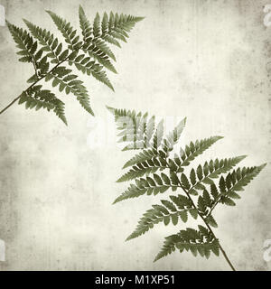 textured old paper background with leather leaf fern Stock Photo