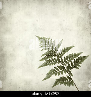 textured old paper background with leather leaf fern Stock Photo
